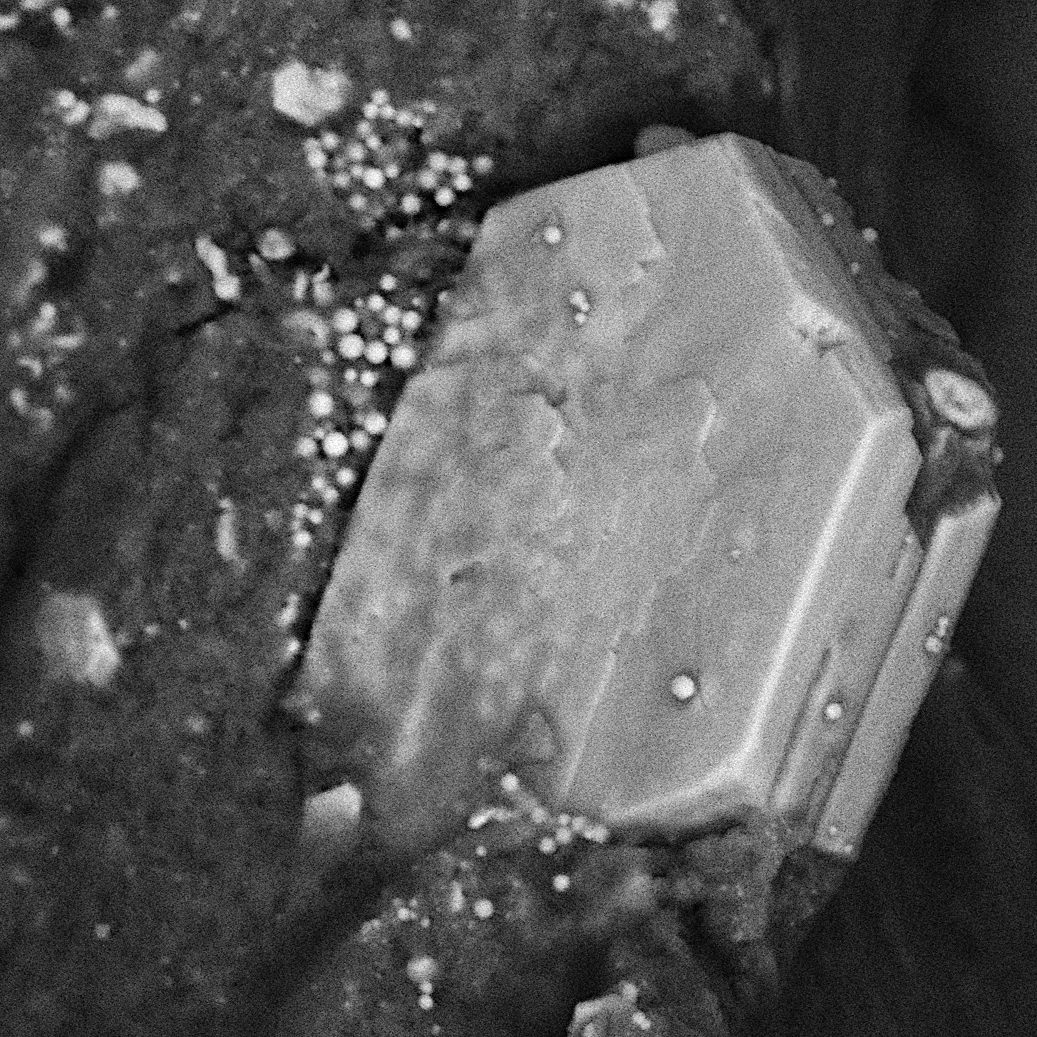 Borlina_et_al-2025-Bennu_PINT.png