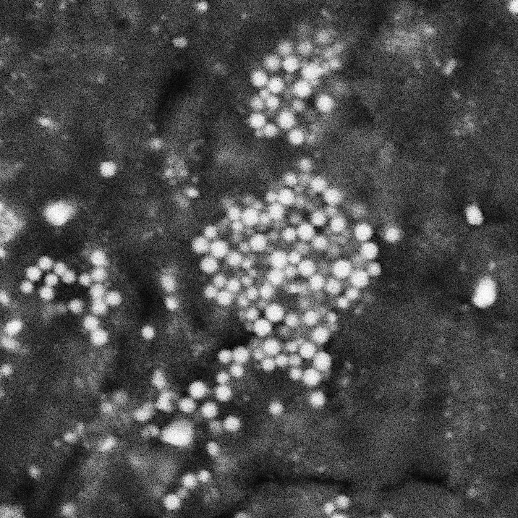 Borlina_et_al-2026-Bennu_PINT2.png