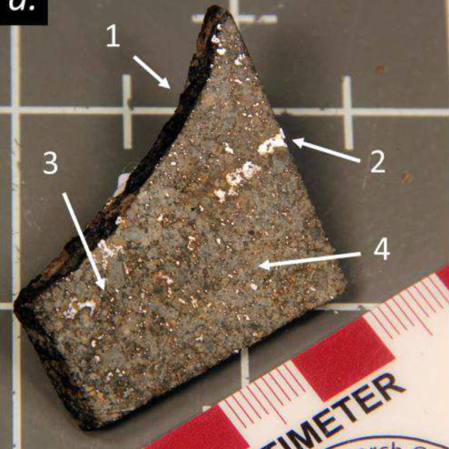 Bristol_et_al-2023-Daule_RockMag.png