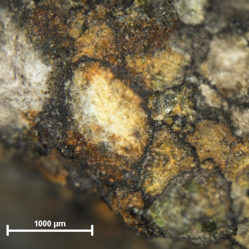 Bristol_et_al-2025-Bulk_Chondrites_RockMag1.png